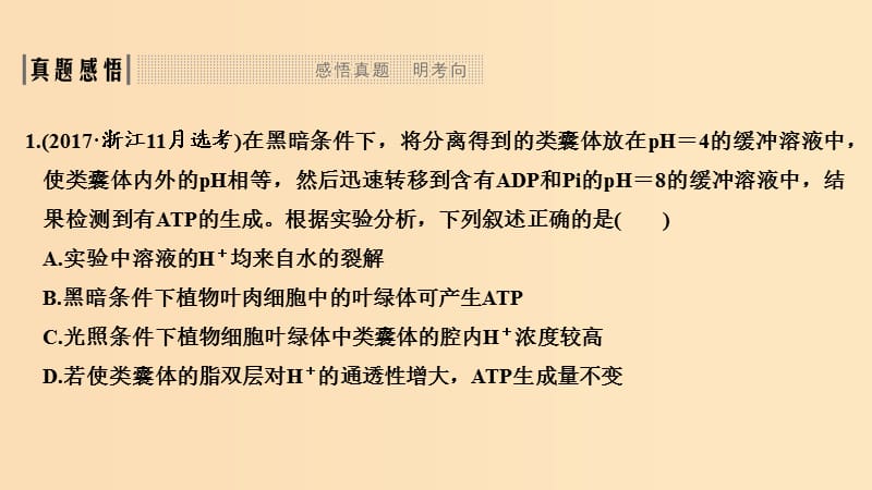 2019版高考生物总复习 第一部分 非选择题必考五大专题 专题一 细胞的代谢 第4讲 光合色素及光合作用过程课件.ppt_第3页