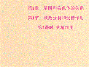 2018年秋高中生物 第二章 基因和染色體的關(guān)系 第1節(jié) 減數(shù)分裂和受精作用 第2課時 受精作用課件 新人教版必修2.ppt