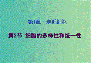 四川省成都市高中生物 第一章 走近細胞 1.2 細胞的多樣性和統(tǒng)一性課件 新人教版必修1.ppt