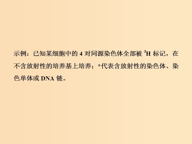 2019版高考生物一轮复习 第六单元 遗传的分子基础 微专题六 图解法分析细胞分裂过程中染色体的标记情况课件 新人教版.ppt_第2页