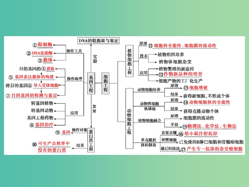 2019高考生物二轮复习 专题七 现代生物科技专题 第一讲 基因工程和细胞工程课件.ppt_第3页