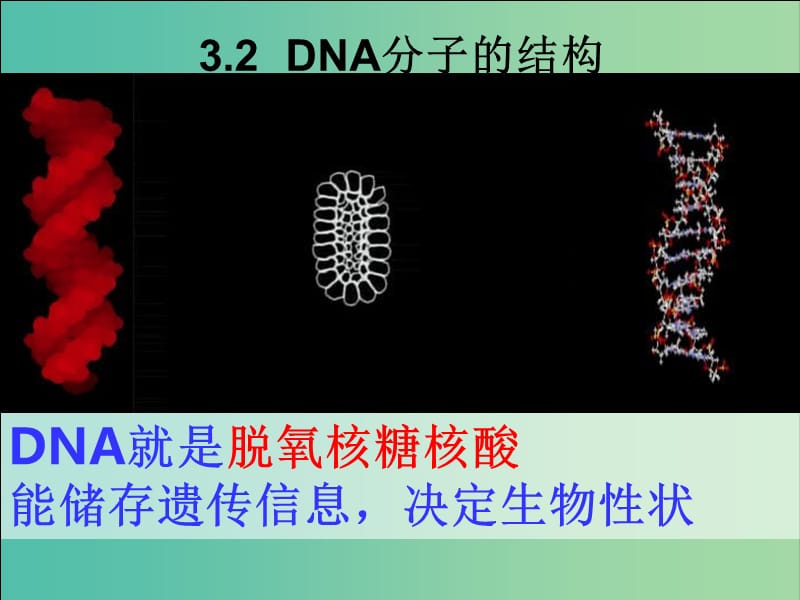 江西省南昌市高中生物 第三章 基因的本質(zhì) 3.2 DNA分子的結(jié)構(gòu)課件 新人教版必修2.ppt_第1頁(yè)