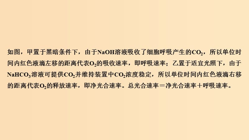 2019版高考生物总复习 第一部分 非选择题必考五大专题 专题一 细胞的代谢 重点题型2 光合速率的测定方法课件.ppt_第3页