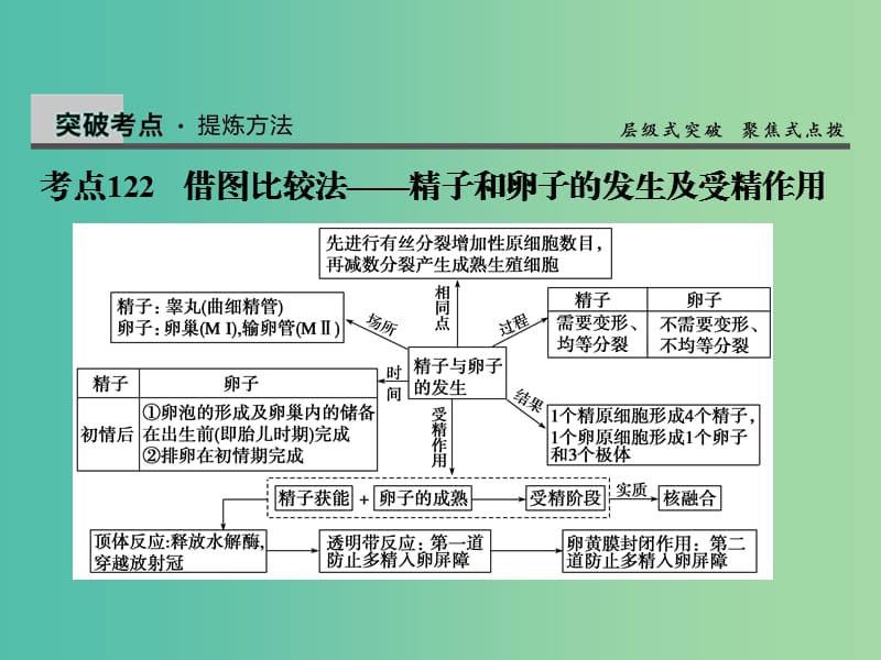 高考生物一轮复习 10.39胚胎工程课件.ppt_第2页