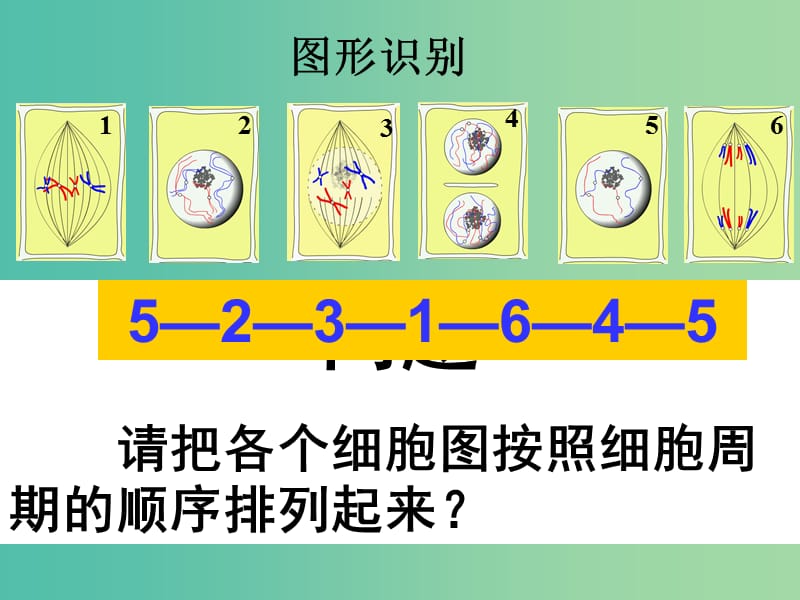 2019高中生物 专题6.1.2 细胞的增殖同步课件 新人教版必修1.ppt_第3页