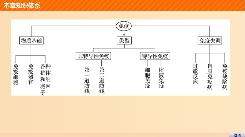 2018-2019版高中生物第四章人体免疫系统与稳态章末整合课件中图版必修3 .ppt_第3页