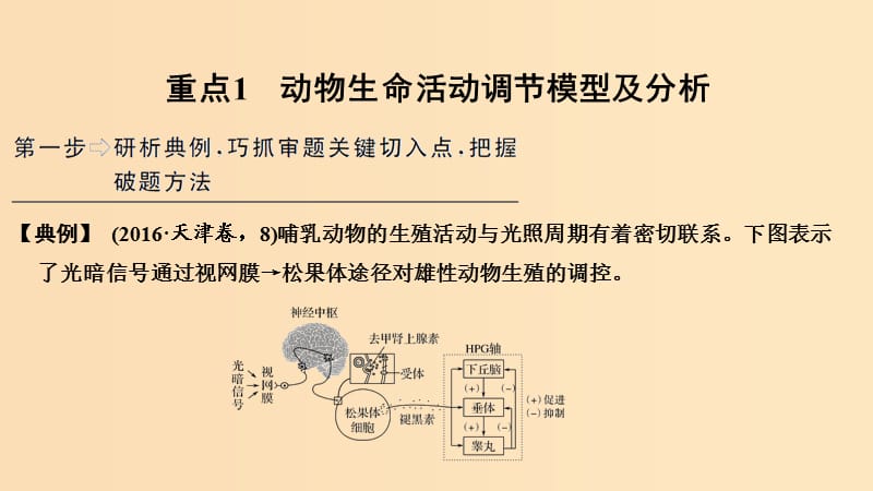 2019版高考生物大一轮复习第九单元生物个体的稳态与调节补上一课5课件中图版必修3 .ppt_第3页