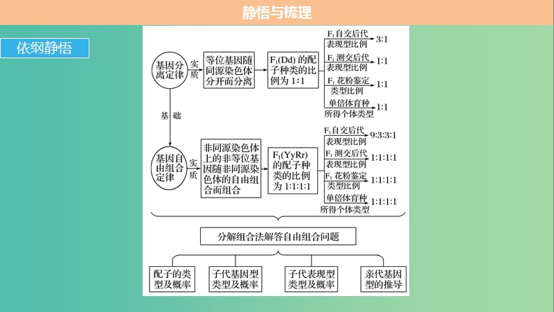 高考生物专题总复习考前三个月专题5遗传的基本规律和伴性遗传考点13透过相关“比例”掌握遗传规律“实质”课件.ppt_第3页