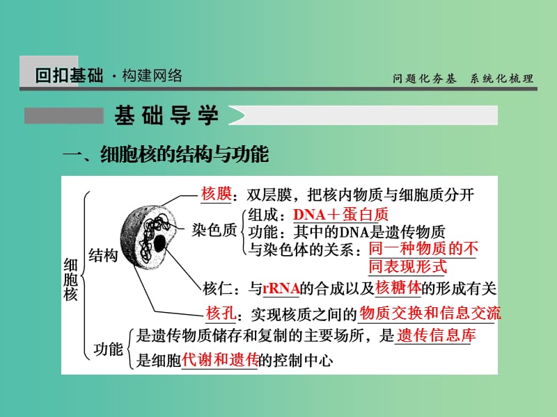 高考生物一轮复习 2.7细胞核-系统的控制中心课件.ppt_第2页