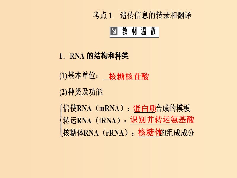 2019版高考生物总复习 第六单元 遗传的分子基础 第3讲 基因的表达课件.ppt_第3页