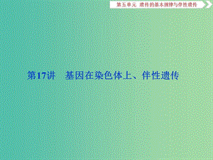 2019屆高考生物一輪復(fù)習(xí) 第五單元 遺傳的基本規(guī)律與伴性遺傳 第17講 基因在染色體上、伴性遺傳課件.ppt