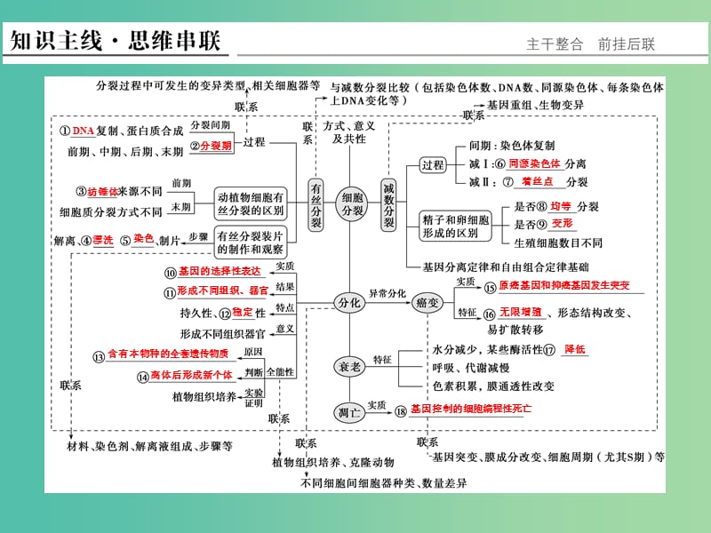 高考生物二轮复习 第一单元 专题三 细胞的生命历程（含减数分裂）课件.ppt_第2页