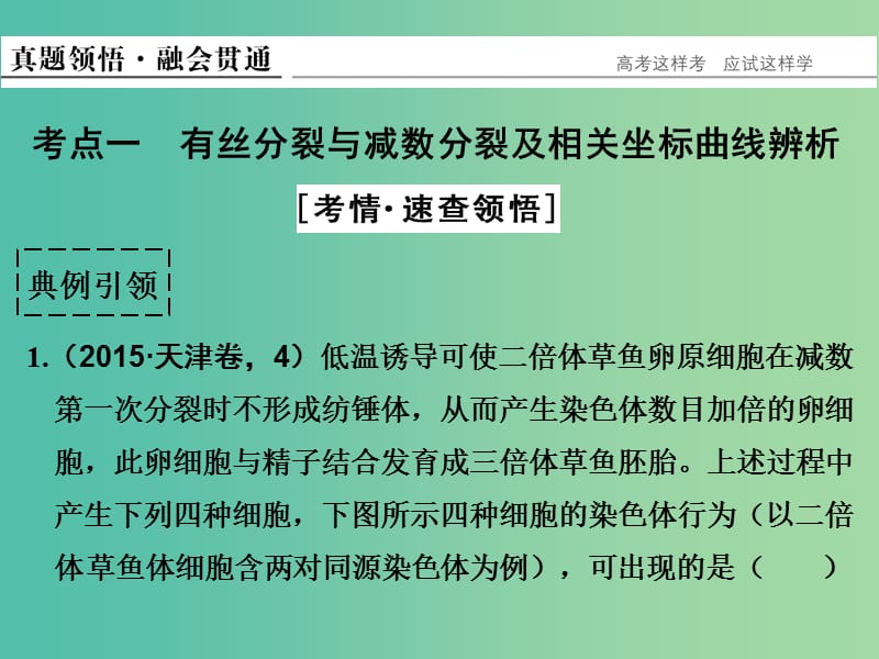 高考生物二轮复习 第一单元 专题三 细胞的生命历程（含减数分裂）课件.ppt_第3页