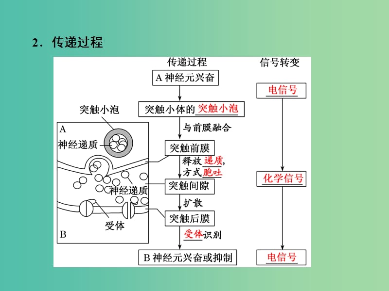 2019年高中生物第2章第1节第2课时通过神经系统的调节二课件新人教必修3 .ppt_第3页