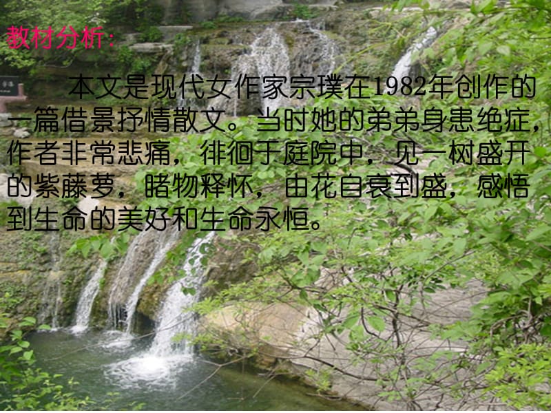 《紫藤萝瀑布》PPT课件.ppt_第3页