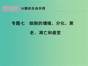 高考生物一輪復(fù)習(xí) 專題7 細(xì)胞的增殖、分化、衰老、凋亡和癌變課件.ppt