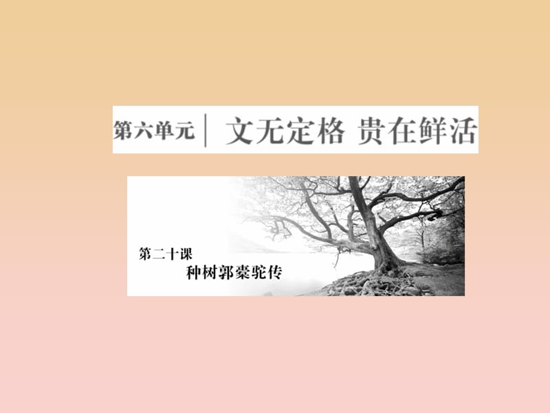 2017-2018学年高中语文 第六单元 文无定格贵在鲜活 第二十课 种树郭橐驼传课件 新人教版选修《中国古代诗歌散文欣赏》.ppt_第1页