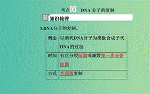 2019高中生物學(xué)業(yè)水平復(fù)習(xí) 專(zhuān)題七 遺傳的分子基礎(chǔ) 考點(diǎn)4 DNA分子的復(fù)制課件.ppt