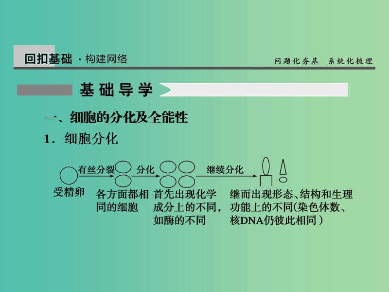 高考生物一轮复习 4.13细胞的分化、衰老、凋亡和癌变课件.ppt_第2页