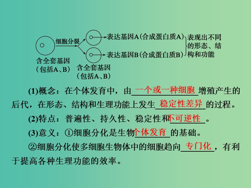 高考生物一轮复习 4.13细胞的分化、衰老、凋亡和癌变课件.ppt_第3页