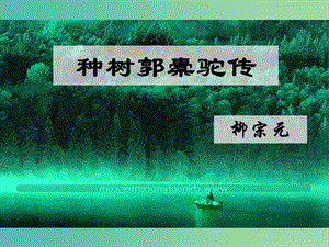 湖南省長沙市長郡中學(xué)高中語文 第六單元 賞析示例 種樹郭橐駝傳課件 新人教版選修《中國古代詩歌散文欣賞》.ppt