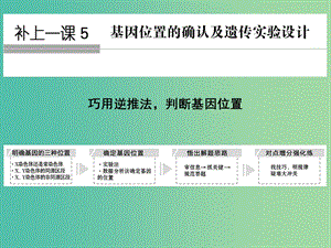 高考生物一輪復(fù)習(xí) 第6單元 遺傳的分子基礎(chǔ) 補(bǔ)上一課5 基因位置的確認(rèn)及遺傳實(shí)驗(yàn)設(shè)計(jì)課件 新人教版.ppt