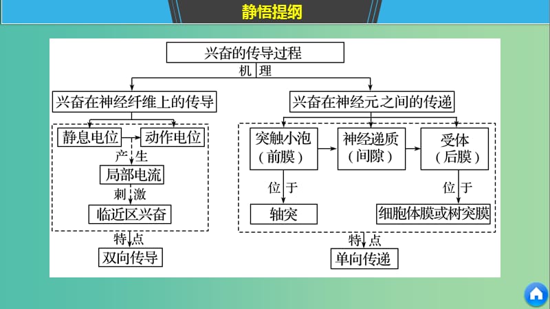 通用版2019版高考生物二轮复习专题七人体的稳态及调节机制考点22兴奋的产生传导和传递课件.ppt_第3页