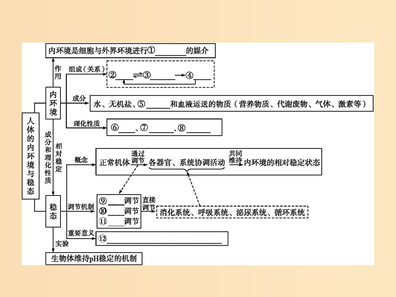 2018-2019学年高中生物 第1章 人体的内环境与稳态本章整合课件 新人教版必修3.ppt_第2页