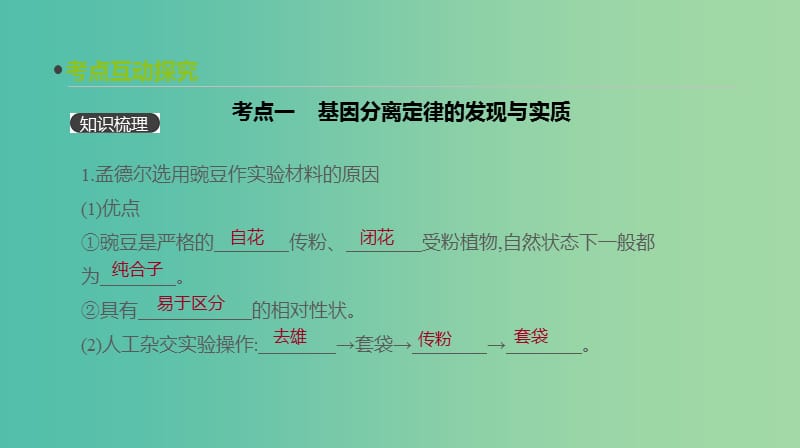 2019届高考生物一轮复习 第5单元 遗传的基本规律和遗传的细胞基础 第14讲 基因的分离定律课件.ppt_第3页