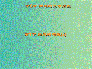 廣東省平遠縣高中生物 6.1 細胞的增殖 第2課時課件 新人教版必修1.ppt