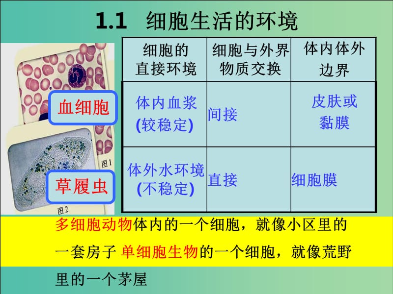 江西省南昌縣高中生物 第一章 人體的內(nèi)環(huán)境與穩(wěn)態(tài) 1.1 細(xì)胞生活的環(huán)境課件 新人教版必修3.ppt_第1頁