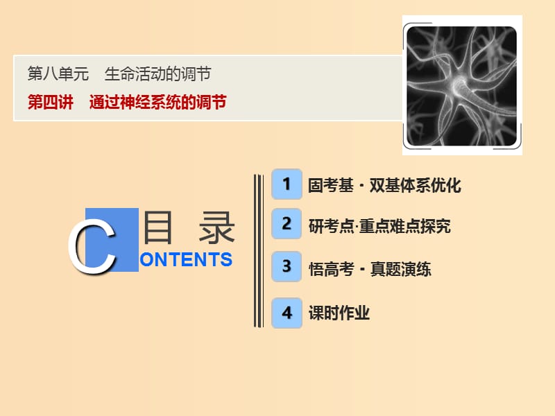 2019版高考生物一轮复习 第八单元 生命活动的调节 第四讲 通过神经系统的调节课件 苏教版.ppt_第1页