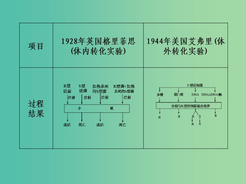 高考生物三轮考前重点专题突破专题一遗传的分子基次件.ppt_第3页