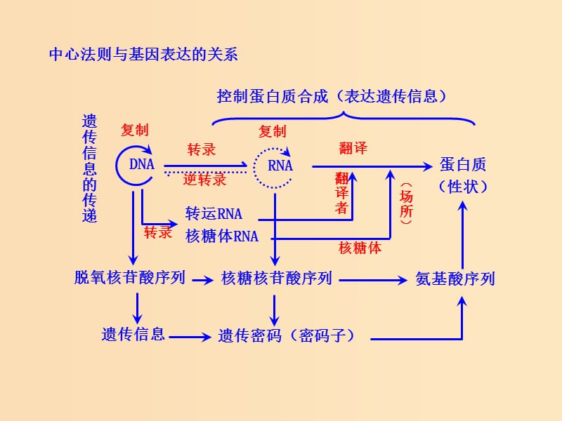 2018-2019学年高中生物 4.2 基因对性状的控制（知识框架）中心法则与基因表达的关系素材 新人教版必修2.ppt_第1页