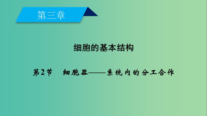 2019版高中生物 第三章 细胞的基本结构 第2节 细胞器——系统内的分工合作课件 新人教版必修1.ppt_第2页