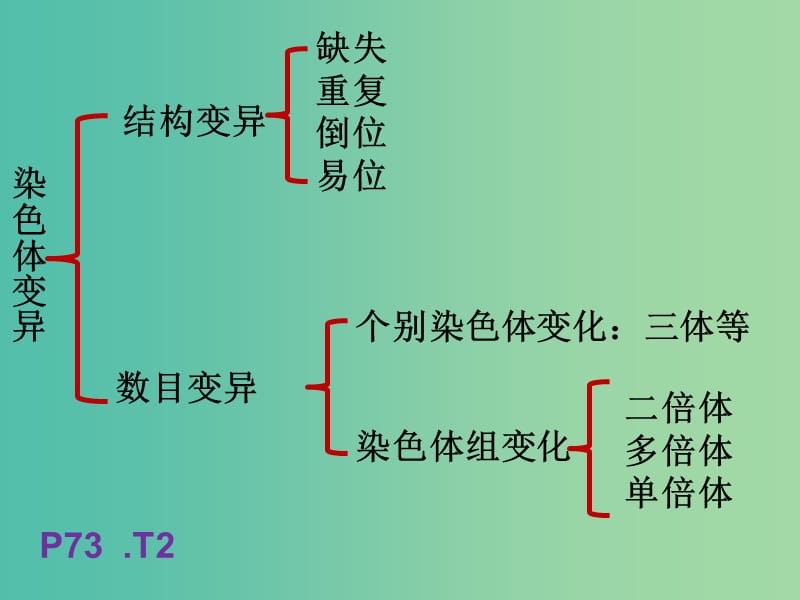 山东省沂水县高中生物 第五章 基因突变及其他变异 5.2 染色体变异回顾课件 新人教版必修2.ppt_第2页