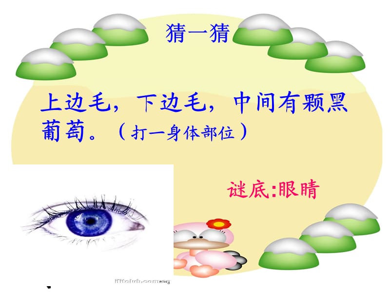 《認(rèn)識我們的身體》PPT課件.ppt_第1頁