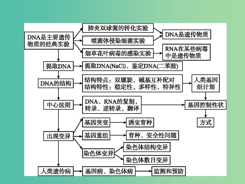 2019年高中生物第四章遗传的分子基础本章整合课件苏教版必修2 .ppt_第2页