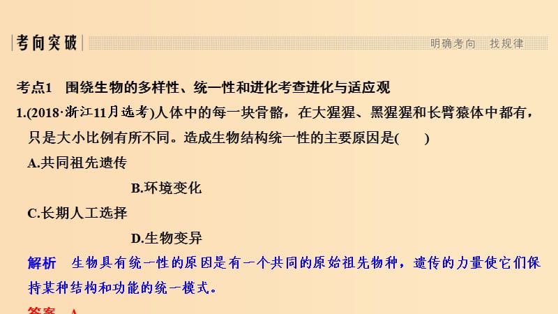 2019版高考生物总复习 第二部分 选择题必考五大专题 专题四 生物的变异与进化 第8讲 生物的进化课件.ppt_第3页