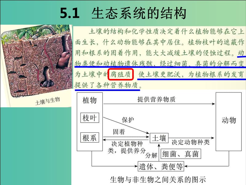 江西省南昌縣高中生物 第五章 生態(tài)系統(tǒng)及其穩(wěn)定性 5.1-5.2 生態(tài)系統(tǒng)的結(jié)構(gòu)課件 新人教版必修3.ppt_第1頁