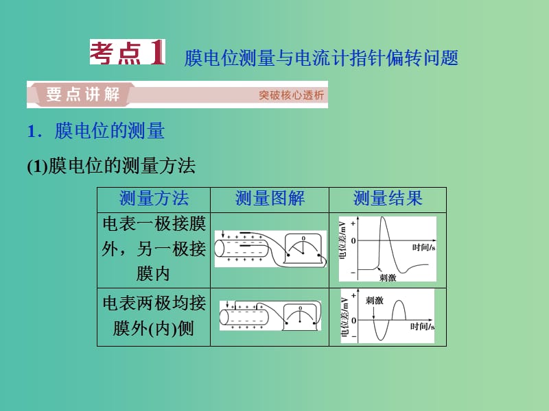 2019届高考生物一轮复习 第八单元 生命活动的调节 加强提升课（五）兴奋测定中的电流表指针偏转及探究实验分析课件.ppt_第2页