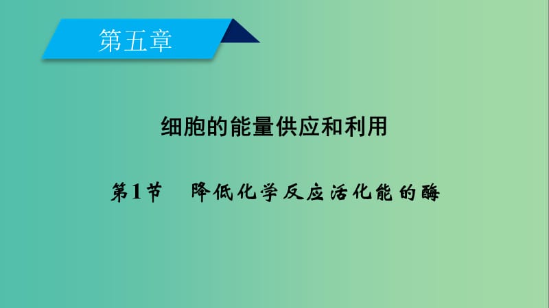 2019版高中生物 第五章 细胞的能量供应和利用 第1节 降低化学反应活化能的酶课件 新人教版必修1.ppt_第2页