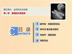 2019版高考生物一輪復習 第五單元 遺傳的基本規(guī)律 第一講 基因的分離定律課件 蘇教版.ppt