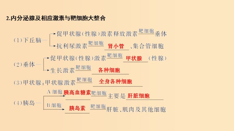 2019版高考生物大一轮复习 第九单元 生物个体的稳态与调节 第26讲 体液调节在维持稳态中的作用课件 中图版必修3.ppt_第3页