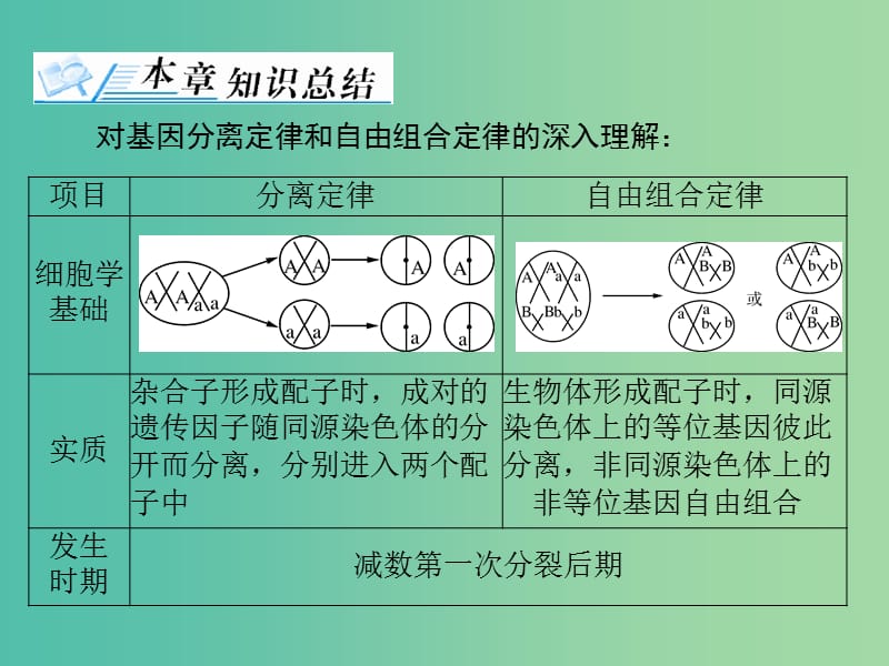 高考生物一轮总复习 第1章 遗传因子的发现章末知识提升课件.ppt_第2页