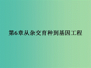 2019高中生物 第6章 從雜交育種到基因工程 6.1 雜交育種與誘變育種課件 新人教版必修1.ppt