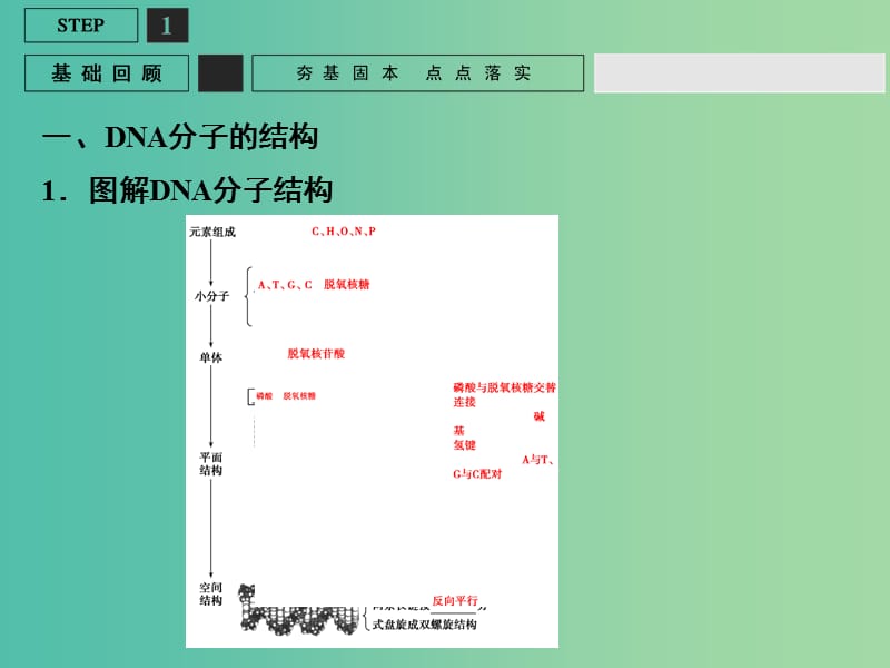 高考生物一轮复习 第2单元 基础课时案18 DNA的结构及基因的本质课件 新人教版必修2.ppt_第3页