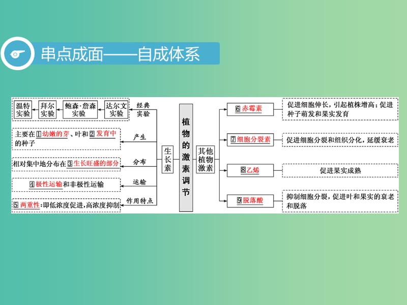 2019高考生物二轮复习 专题四 调节 第2讲 植物的激素调节 第Ⅰ课时 基础自查——学生为主体 抓牢主干以不变应万变课件.ppt_第3页