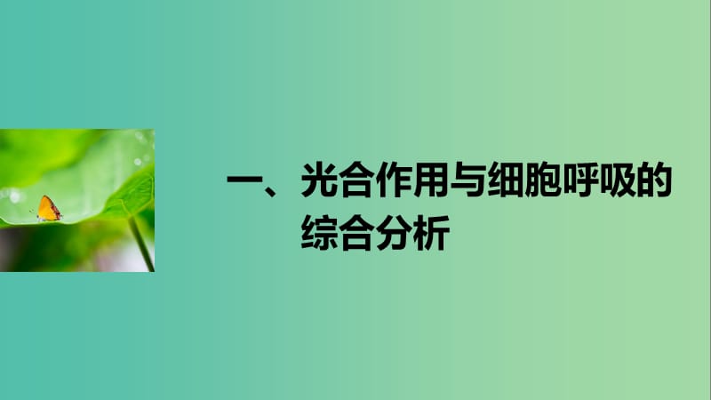 高考生物二轮复习 解题能力提升一课件.ppt_第1页