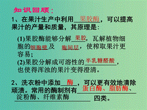 甘肅省武威市高中生物 第4章 酶的研究與應用 4.3 酵母細胞的固定化課件1 新人教版選修1 .ppt